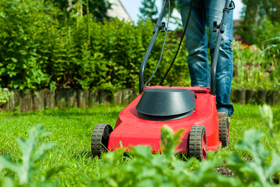 Mowing Lawns